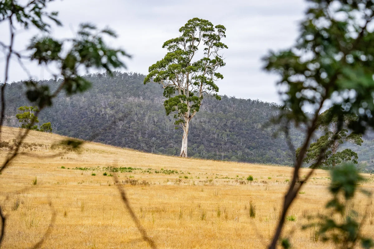 Additional image 9 of 196 Court Farm Road, Buckland TAS 7190