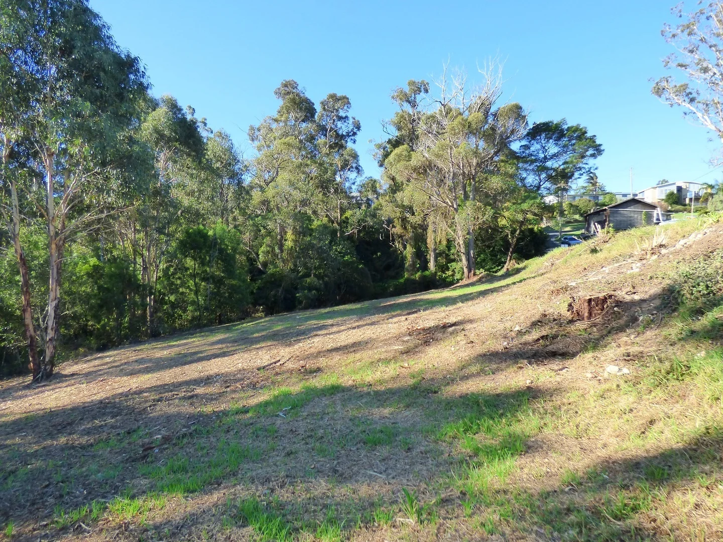 Additional image 6 of Lot 1 Twofold Court, Eden NSW 2551