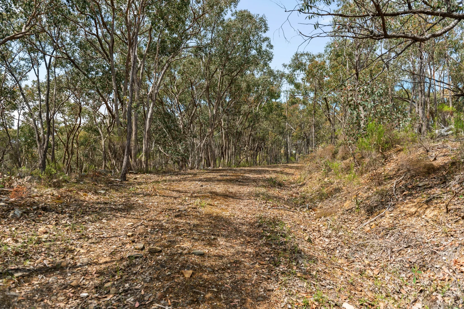 Additional image 9 of 20 Miners Hut Road, Chewton Bushlands VIC 3451