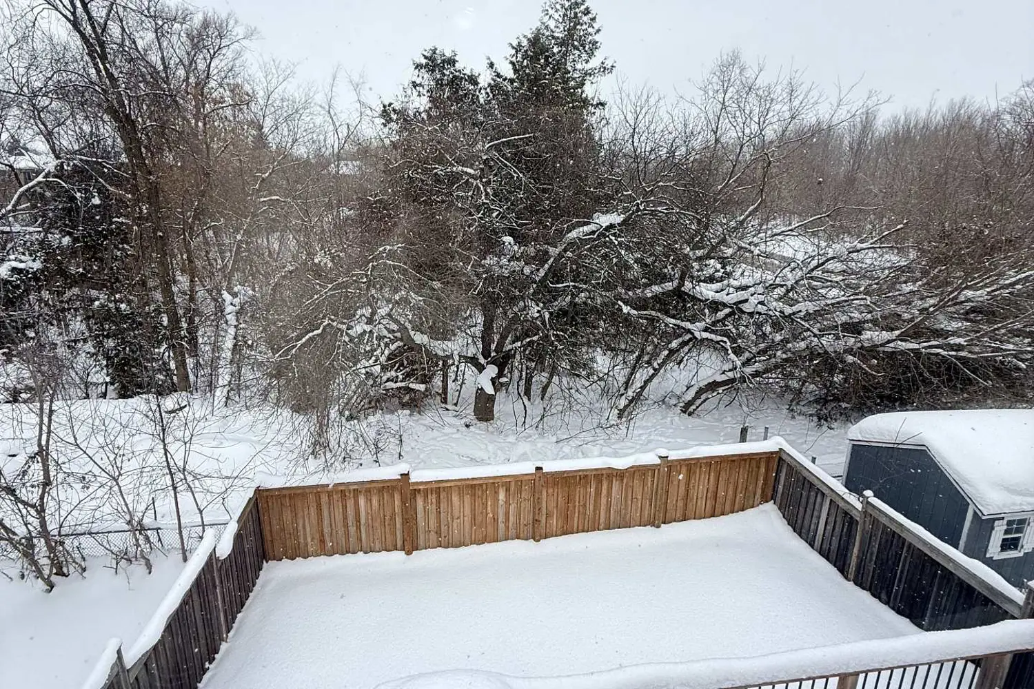 Additional image 2 of 1216 Fox Hill Street