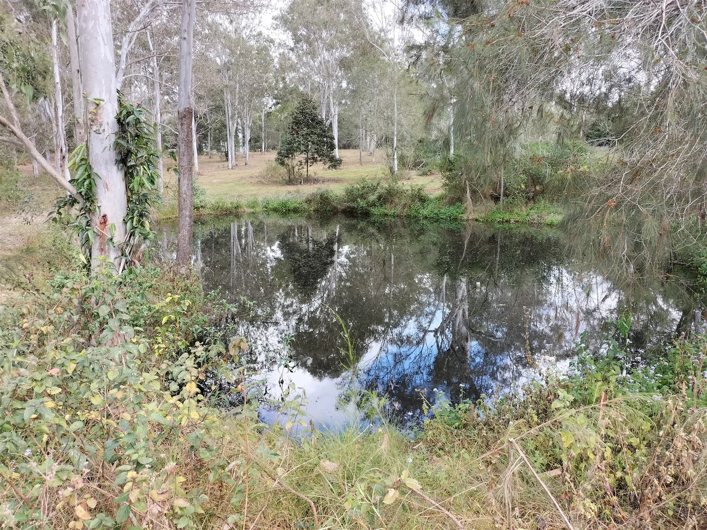 Additional image 10 of 299 Begley Road, Greenbank QLD 4124