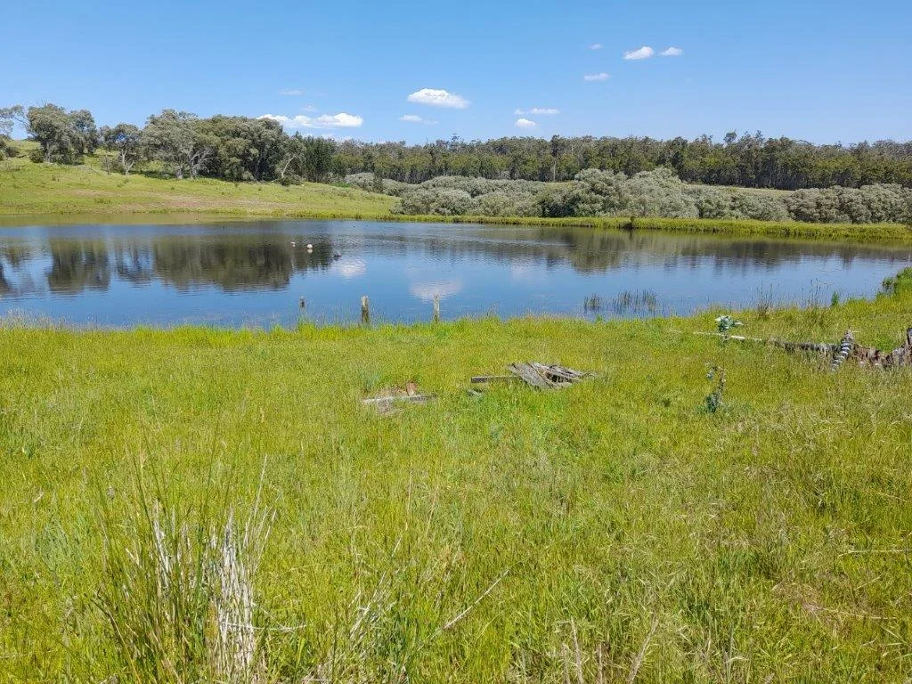 Additional image 5 of 228 Peppermint Grove Road, Middlesex WA 6258