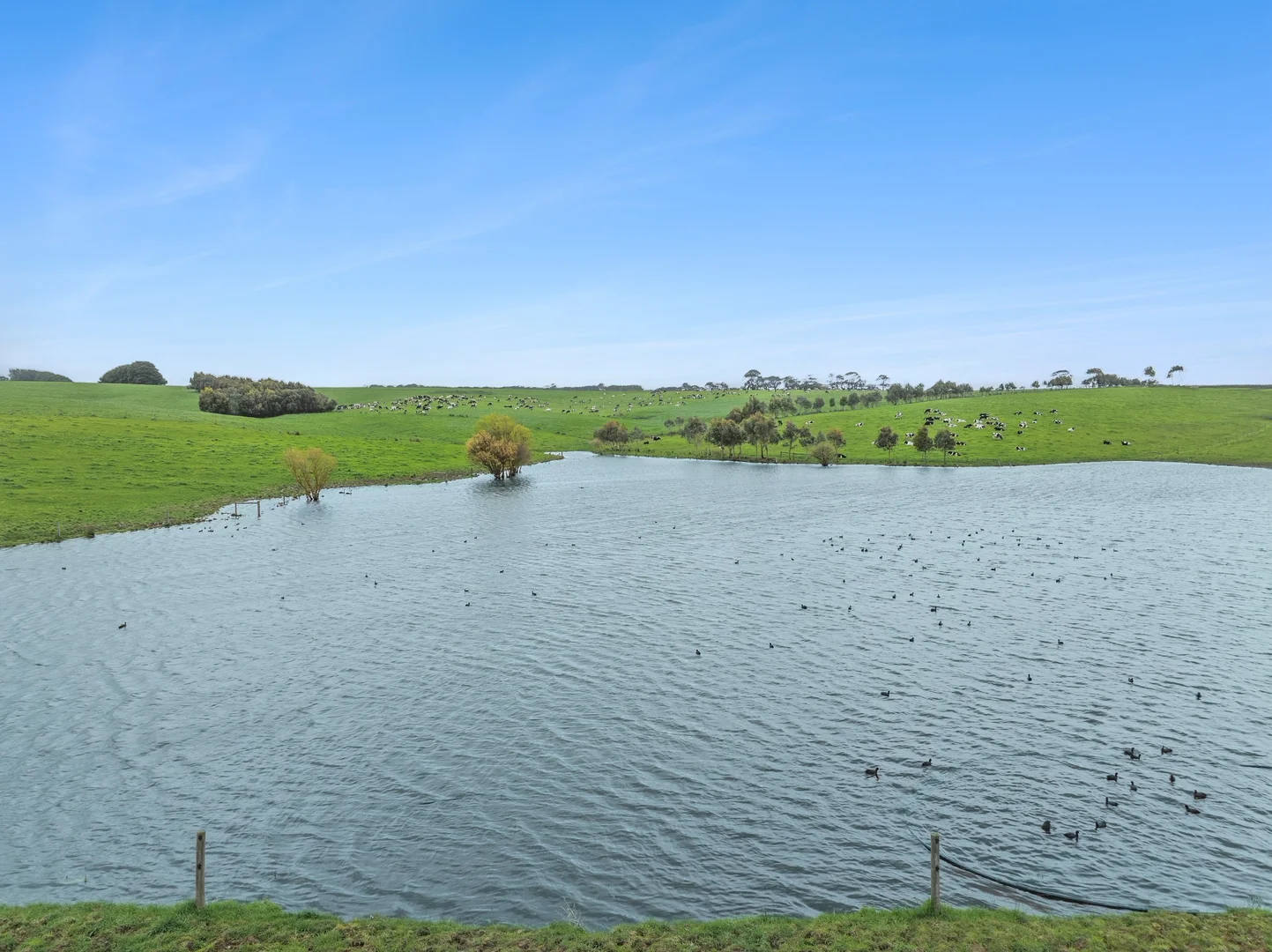 Additional image 23 of 520 Centre Road, Simpson VIC 3266