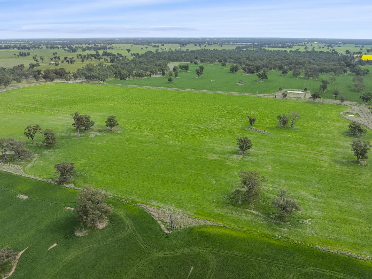 Additional image 10 of 800 Bridge Road, Caniambo VIC 3630