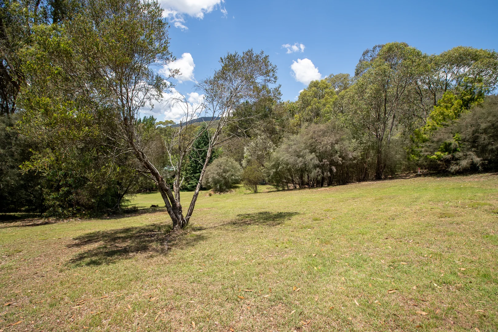 Additional image 6 of 1 & 2 WOMBAT GULLY ROAD, Mitta Mitta VIC 3701