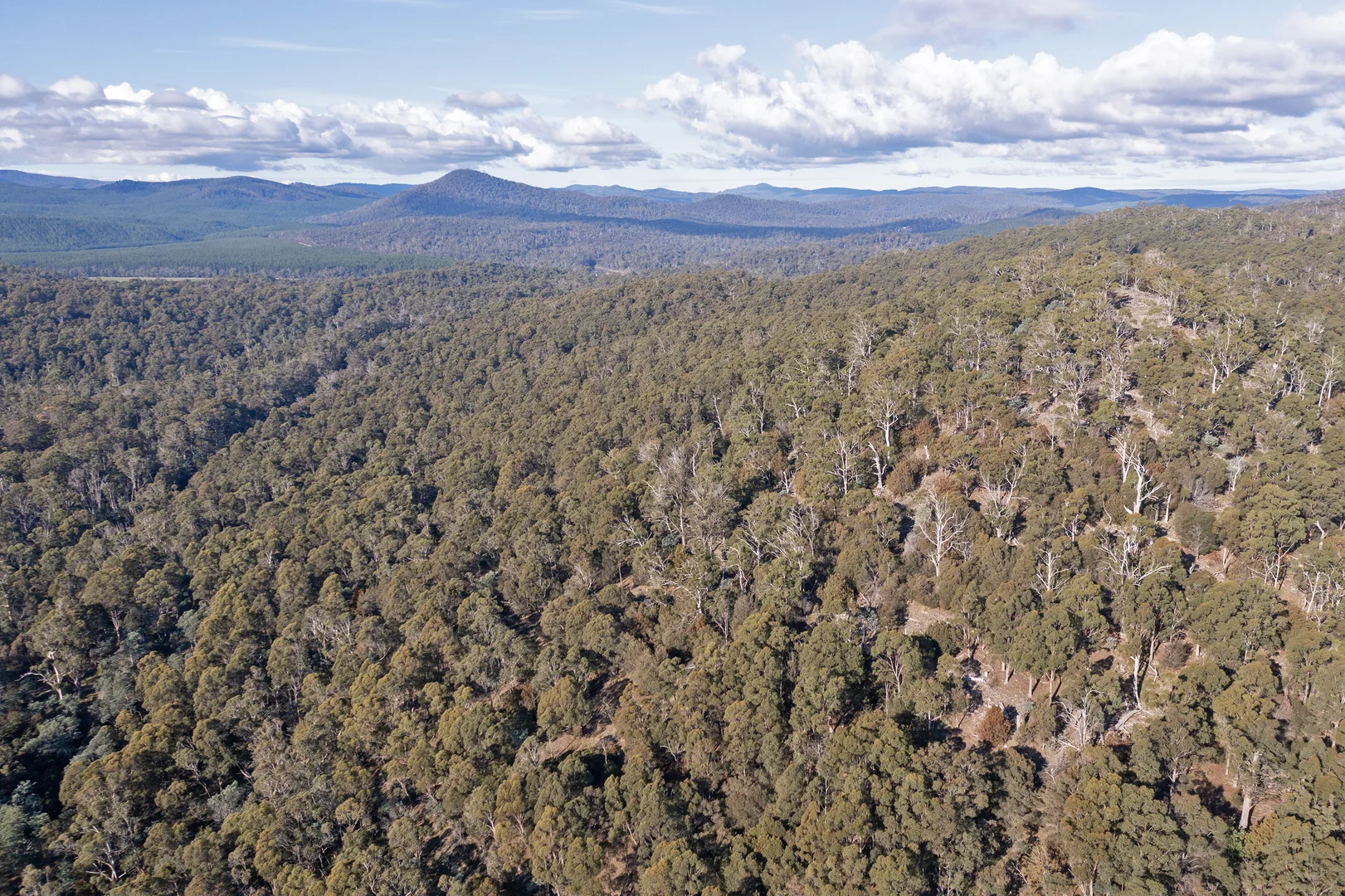 Additional image 16 of . Frankford Road, Harford TAS 7307