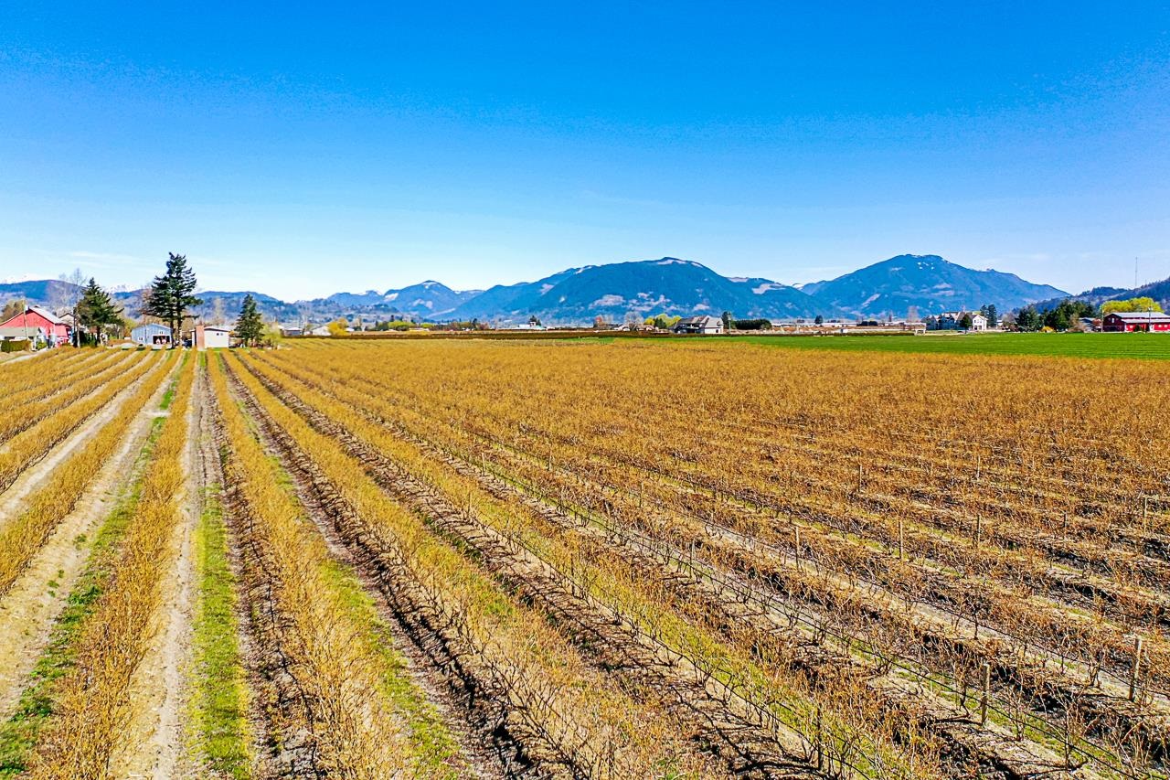 Additional image 3 of 34221 Townshipline Road, Abbotsford, BC, V3G 1R1