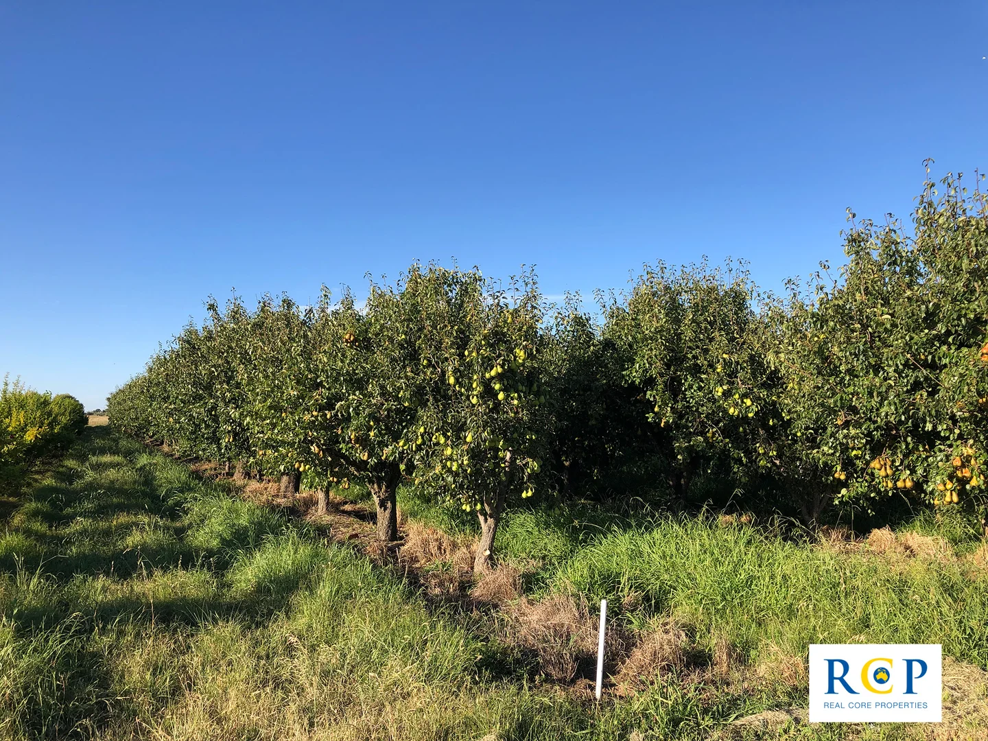 Additional image 9 of 275 Channel Road, Orrvale VIC 3631