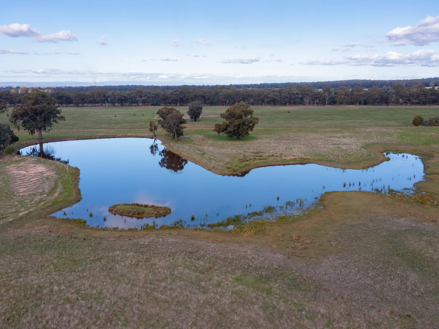 Additional image 13 of 242 Frost Road, Killawarra VIC 3678