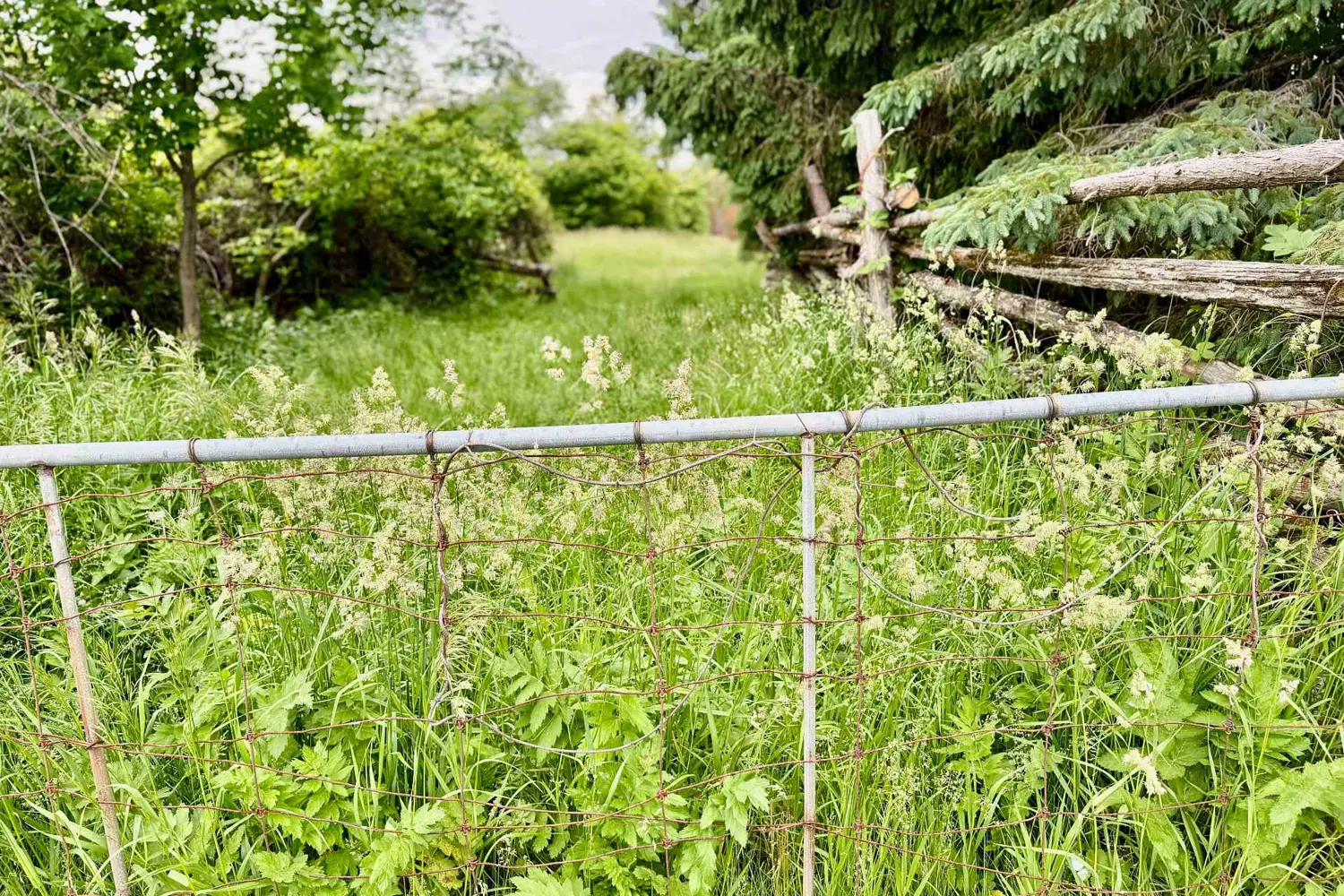 Additional image 10 of 00 Cooper Road