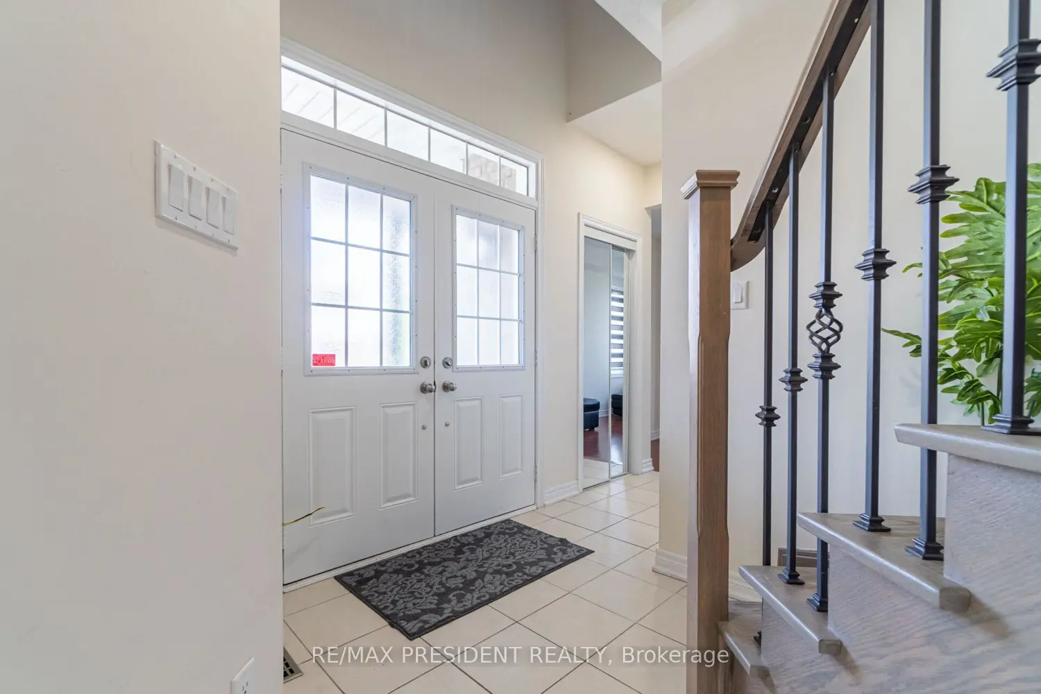 Additional image 7 of 56 Iceland Poppy Trail