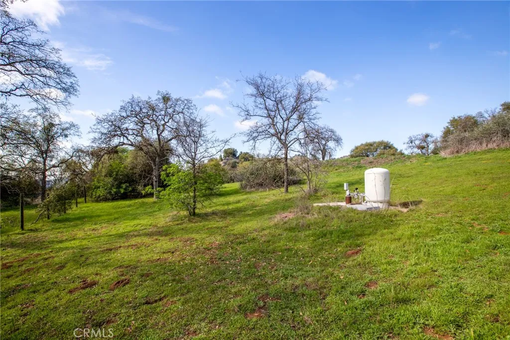 Additional image 60 of 49980 Daffodil Ln, Squaw Valley, CA 93675