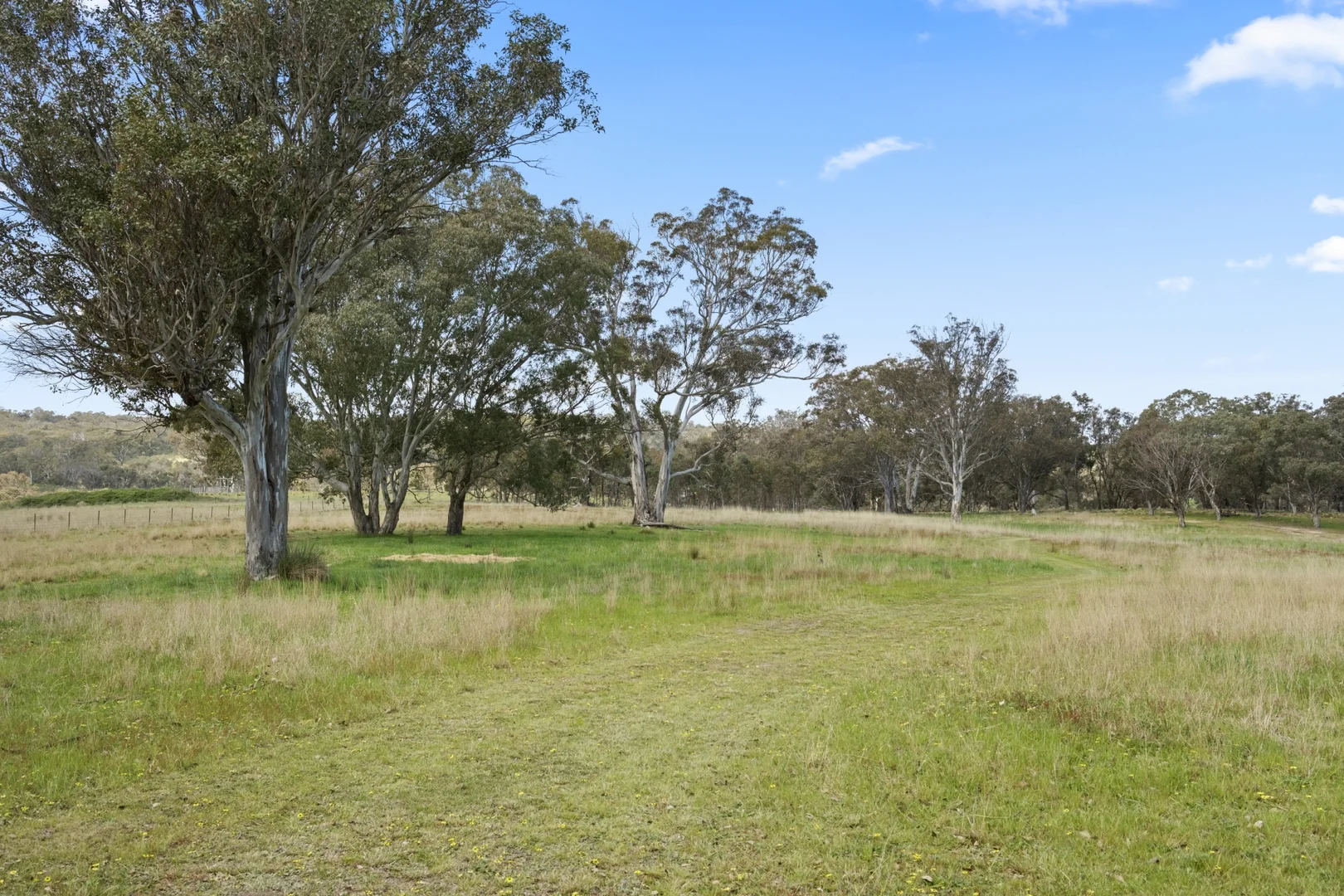 Additional image 24 of 1854 Range Road, Mummel NSW 2580