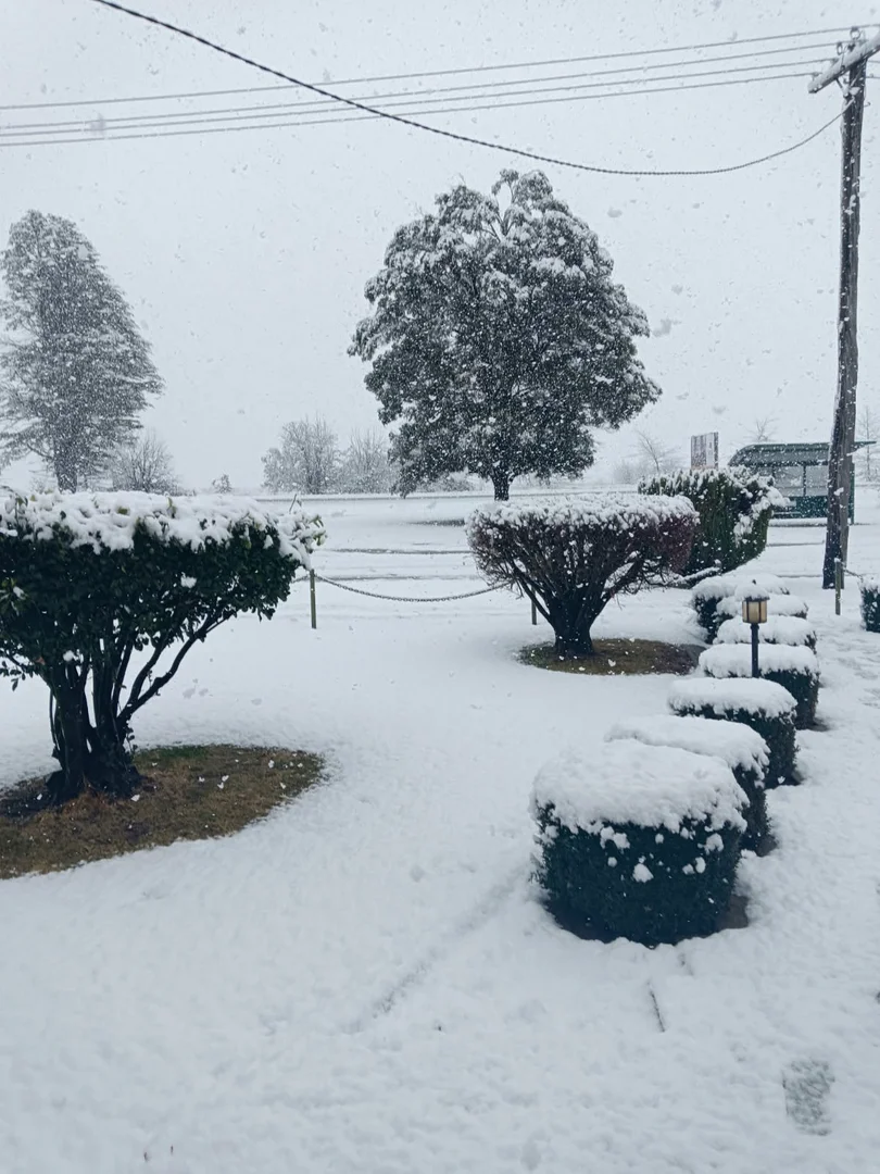 Additional image 27 of 14 Railway Street, Glencoe NSW 2365