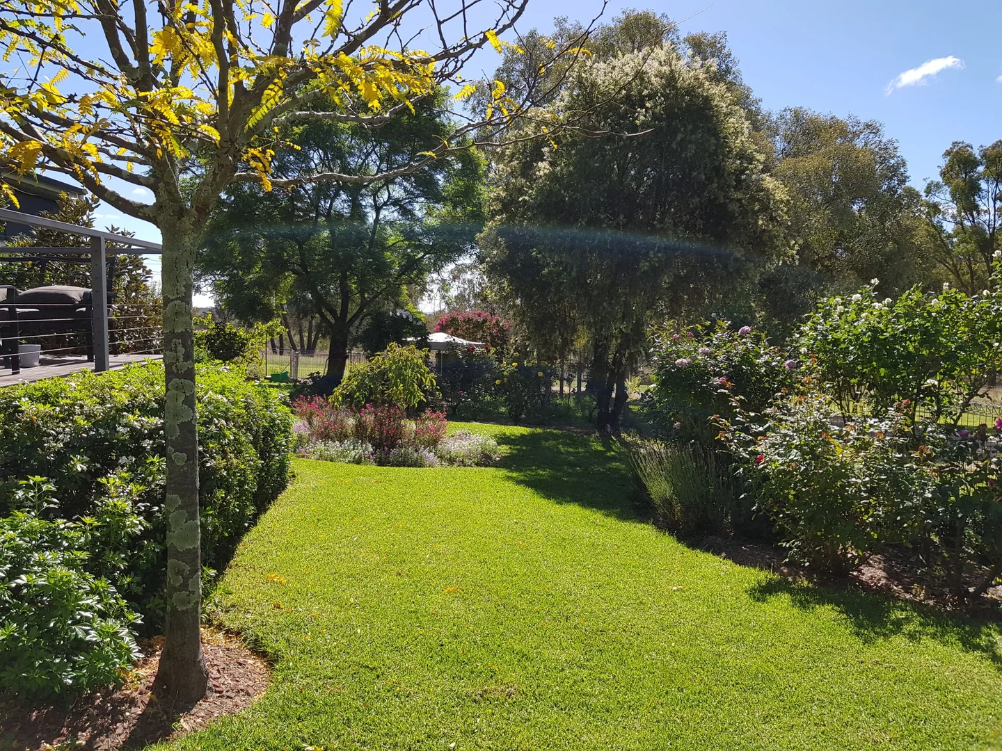 Additional image 31 of 739 Stannifer Road, Stannifer NSW 2369