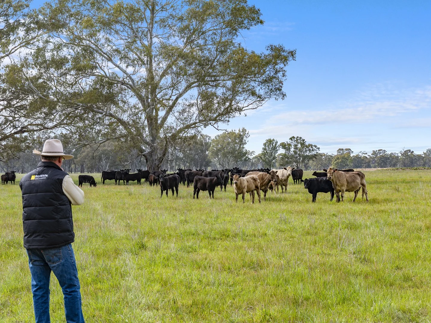 Lot 2 & Lot 1, PS 72 Basin Road, Tarnook VIC 3670