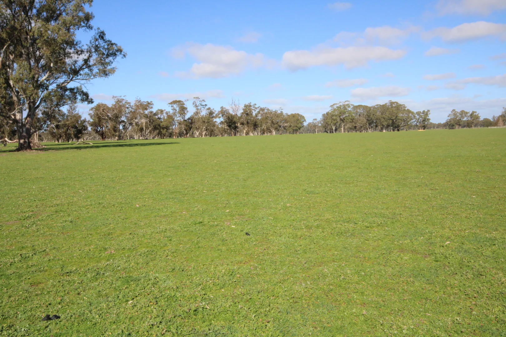 Additional image 24 of 202 Malones Road, Naracoorte SA 5271