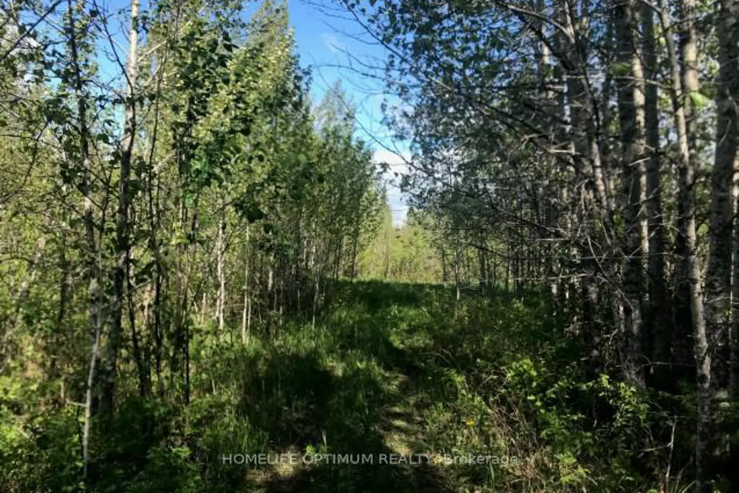 Additional image 5 of 75.25 Acres - Pcl 4952 N/A