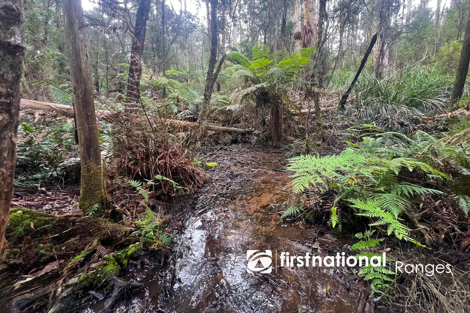 Additional image 12 of 2780 Gembrook-Launching Place Road, Gembrook VIC 3783