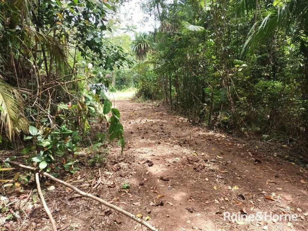 Additional image 8 of Lot 81 Cape Tribulation Road, DIWAN,, Daintree QLD 4873