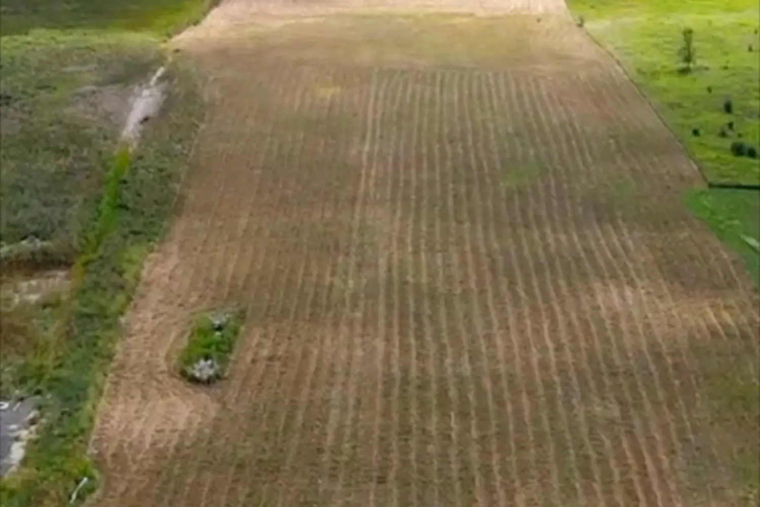 Additional image 2 of 0 Hurontario Street