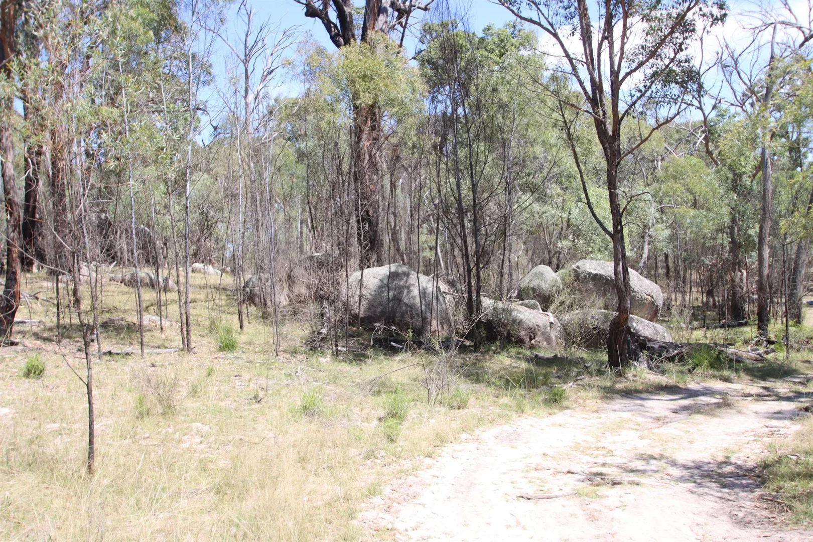 Additional image 26 of Lot 1 Brusharbers Road, Tenterfield NSW 2372