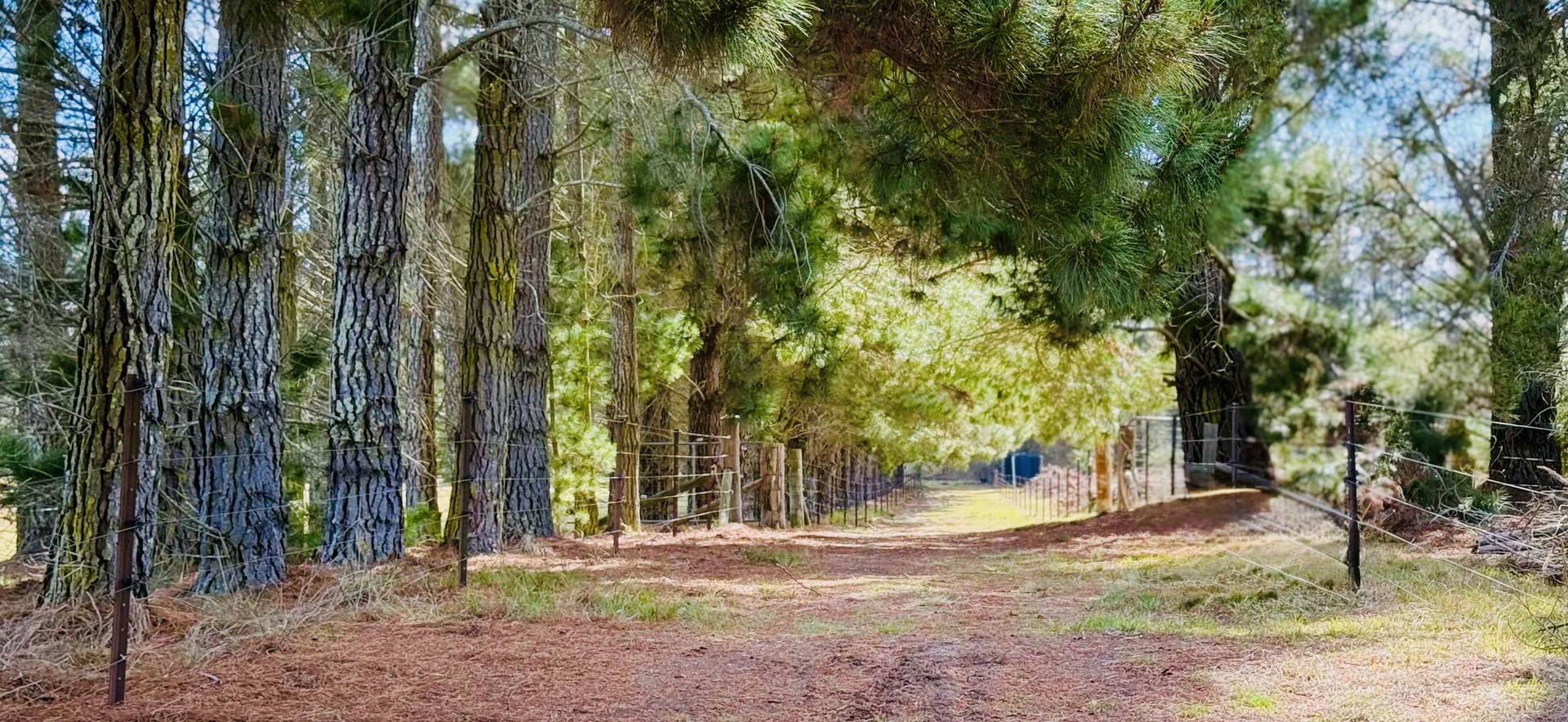 Additional image 27 of 489 Jacqua Rd, Windellama NSW 2580