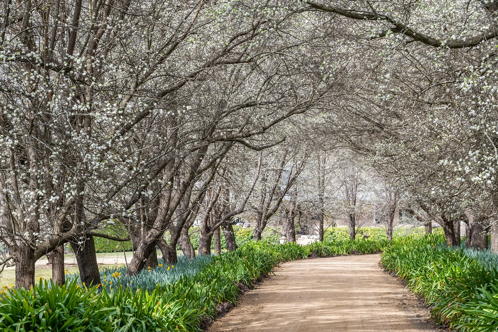 Additional image 19 of 28 Durham Road, Bundanoon NSW 2578