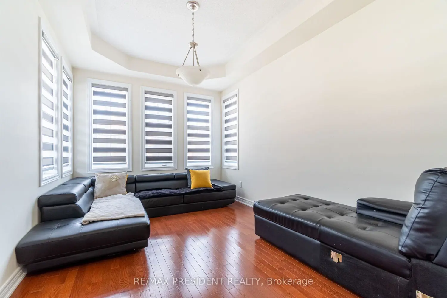 Additional image 9 of 56 Iceland Poppy Trail