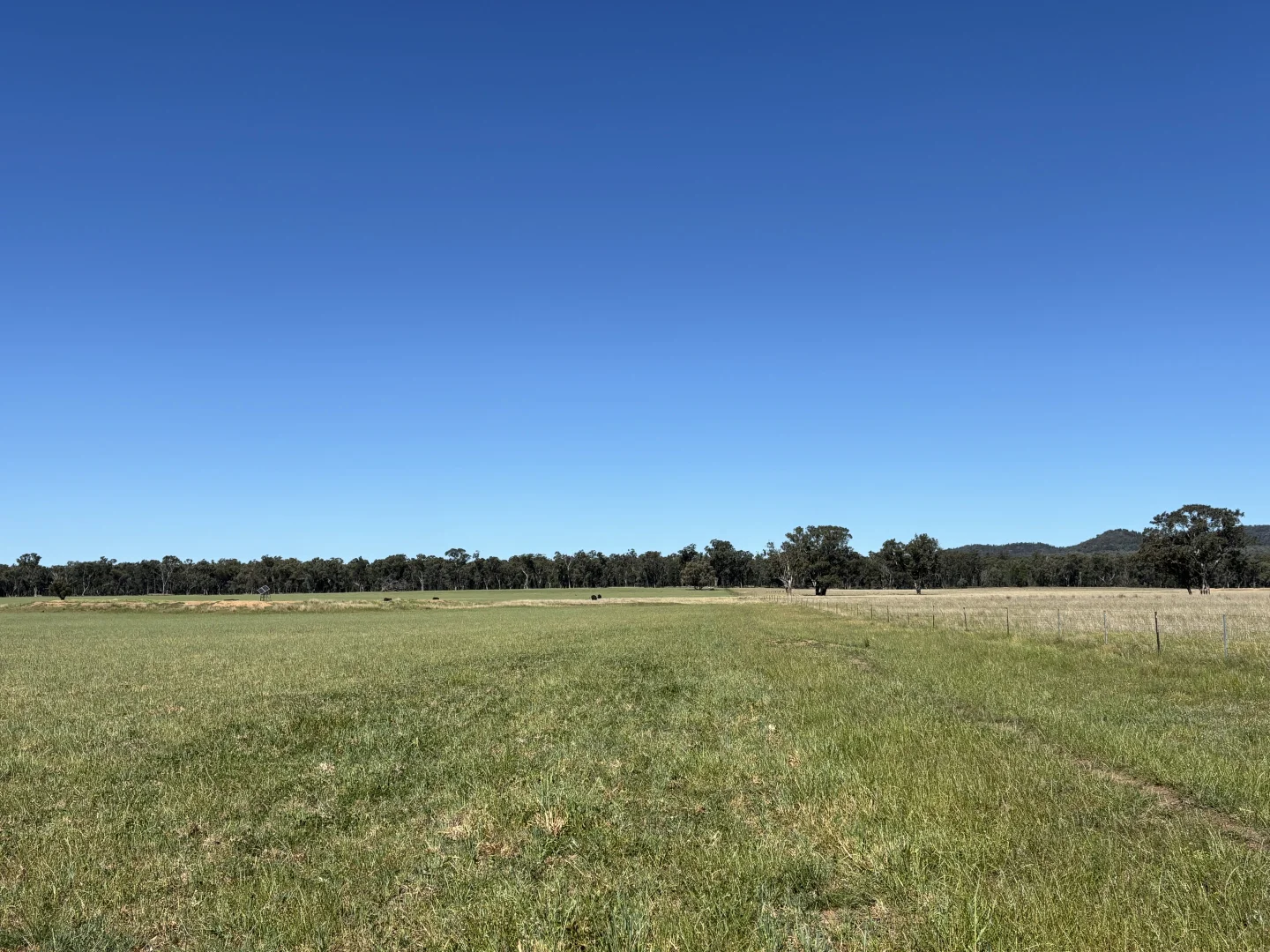 Additional image 20 of 2824 Neilrex Road, Coolah NSW 2843