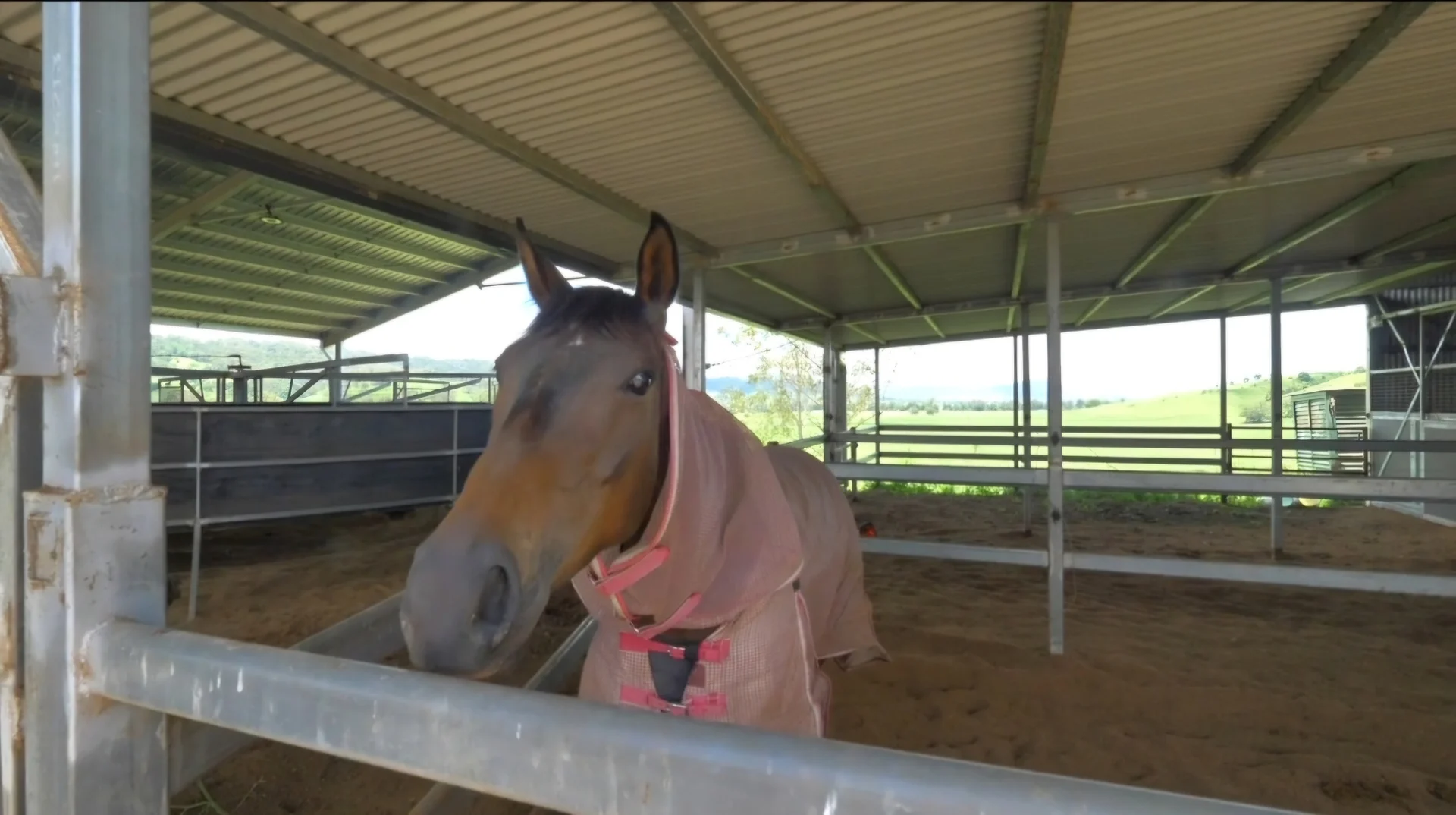 Additional image 22 of 739 Collins Creek Road, Kyogle NSW 2474