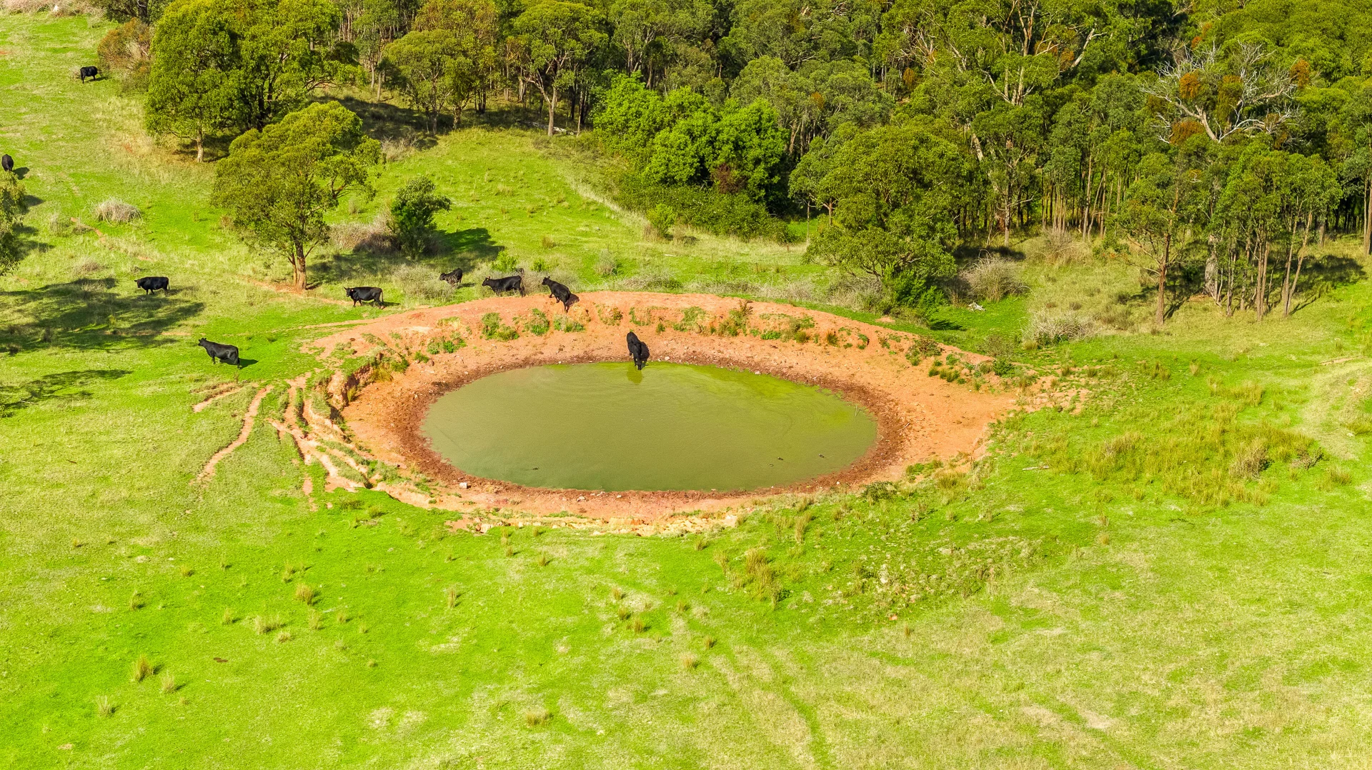 Additional image 18 of 1 Middle Ridge Road, Licola North VIC 3858
