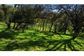 Additional image 17 of 6738 Western Sierra Way, El Dorado Hills, CA, 95762