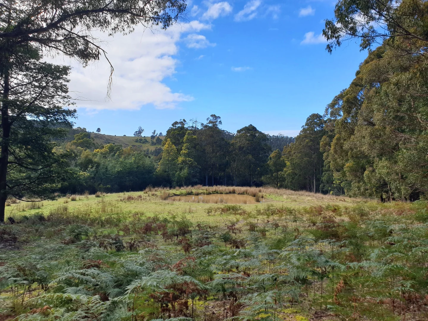 Additional image 14 of Lot 2 Huon Highway, Dover TAS 7117