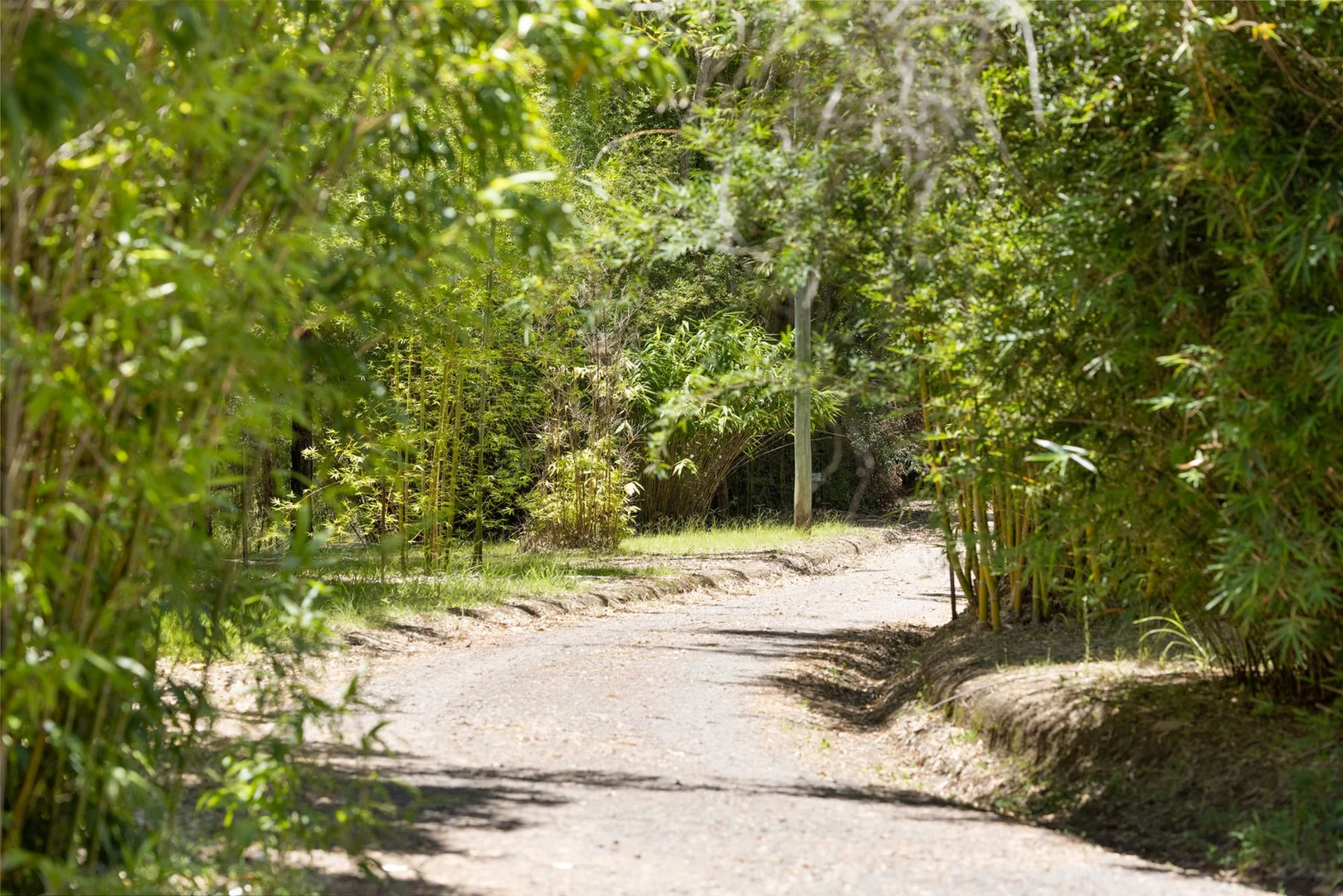 Additional image 8 of 1171 Eumundi - Kenilworth Road, Belli Park QLD 4562