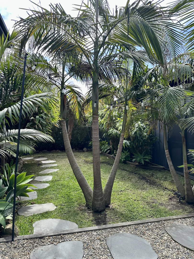 Additional image 28 of 9 Beachway Avenue, Berrara NSW 2540