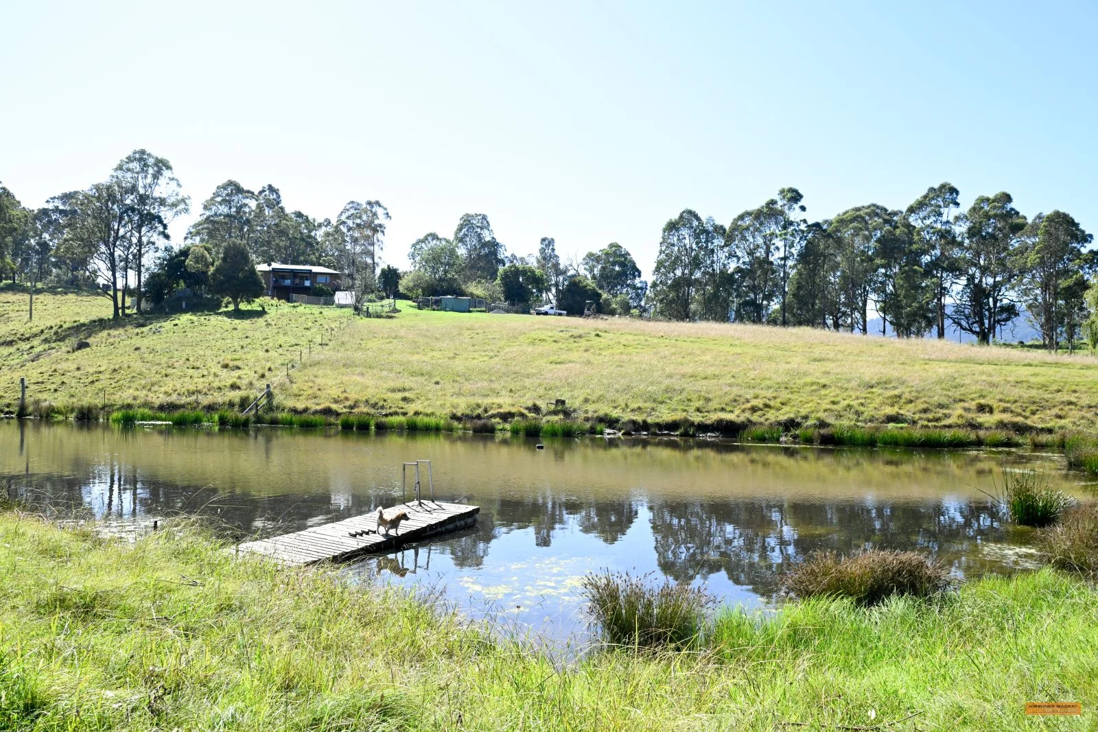 Additional image 2 of 281 Myrtle Mountain Road, Wyndham NSW 2550