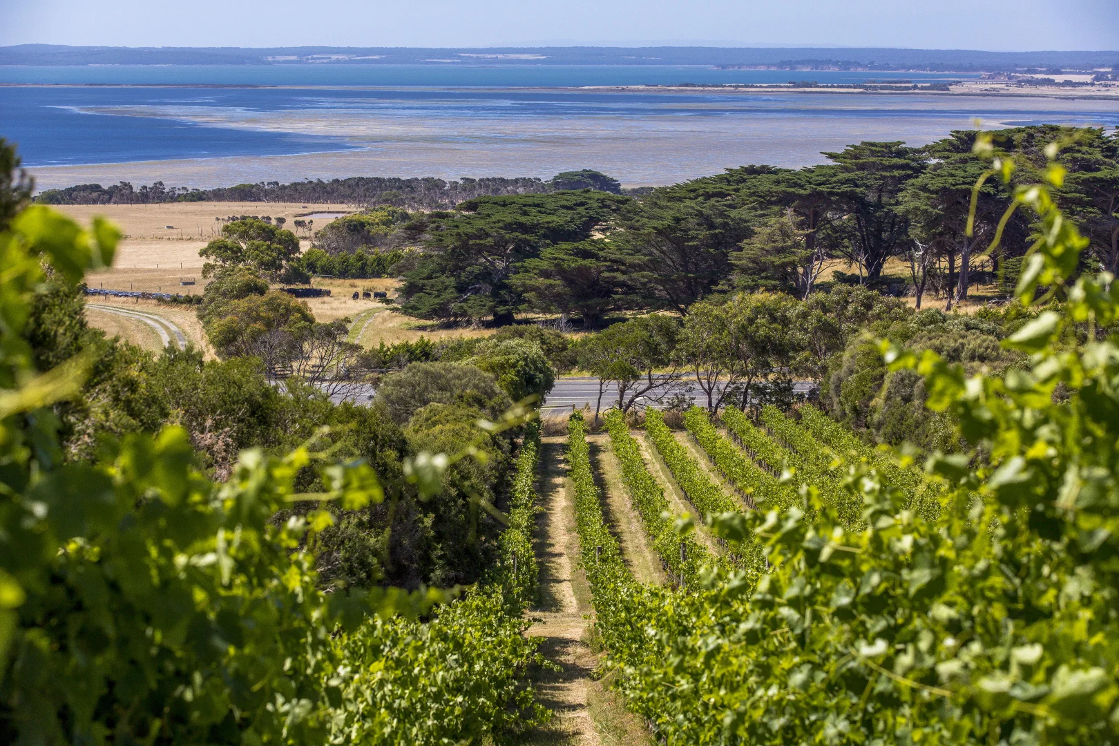 Additional image 3 of 215 Phillip Island Road, San Remo VIC 3925