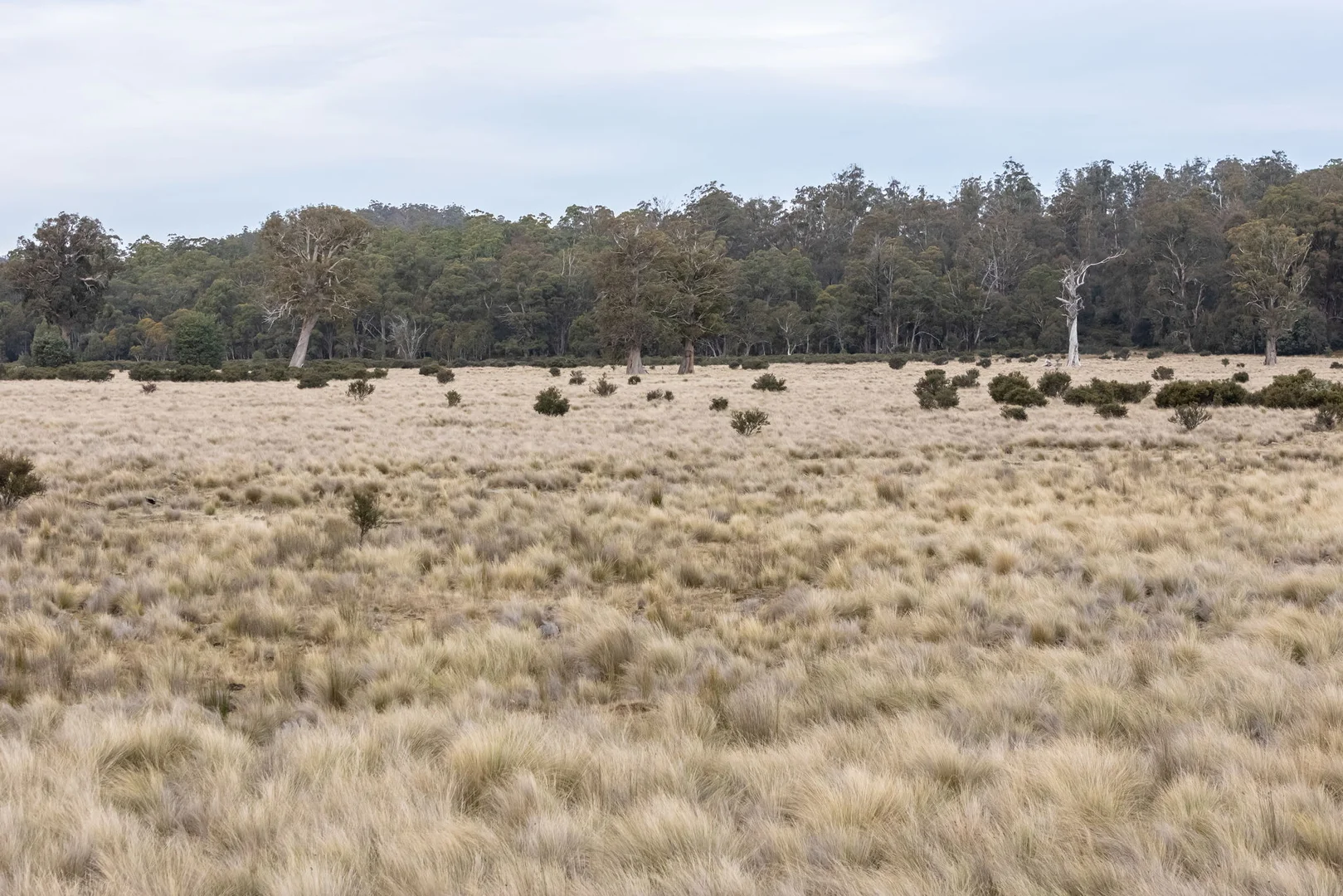 Additional image 10 of 1 & 2/172 Woodwards Bay Road, Bradys Lake TAS 7140