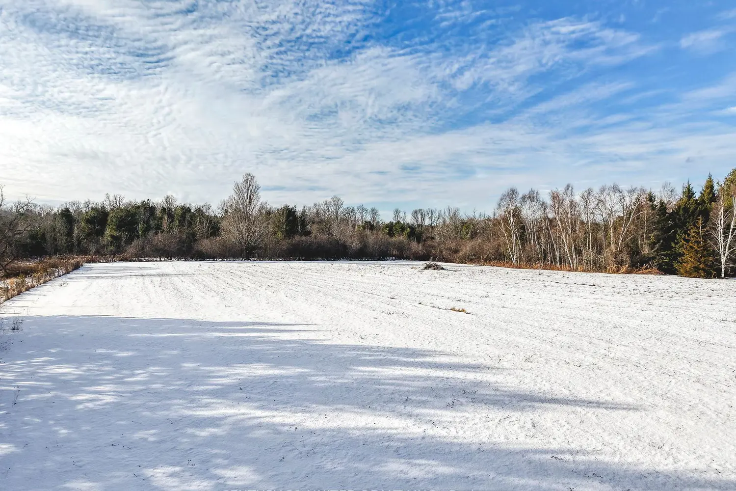 Additional image 8 of 938 County Road