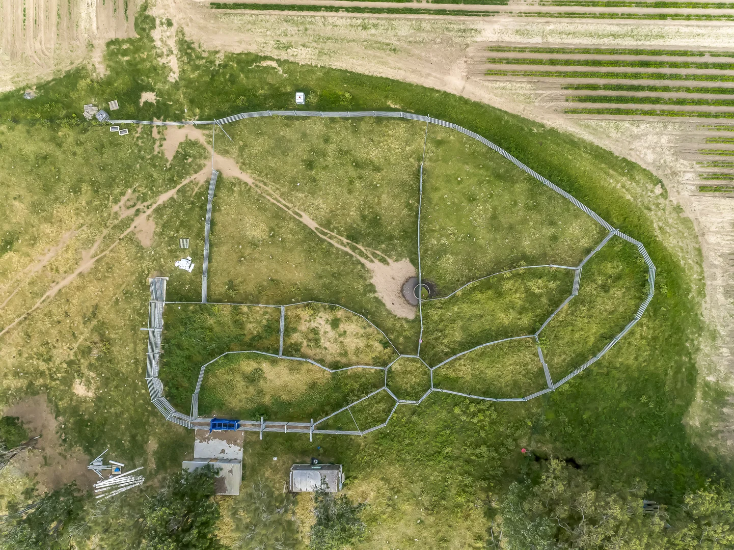 Additional image 8 of 1670 Rosedale Road, Avondale QLD 4670