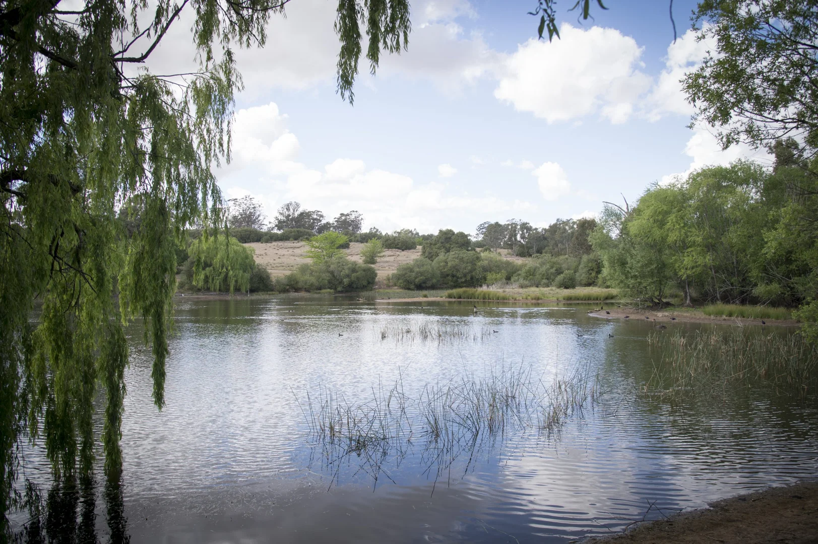 Additional image 7 of 78/90 Werombi Road, Grasmere NSW 2570