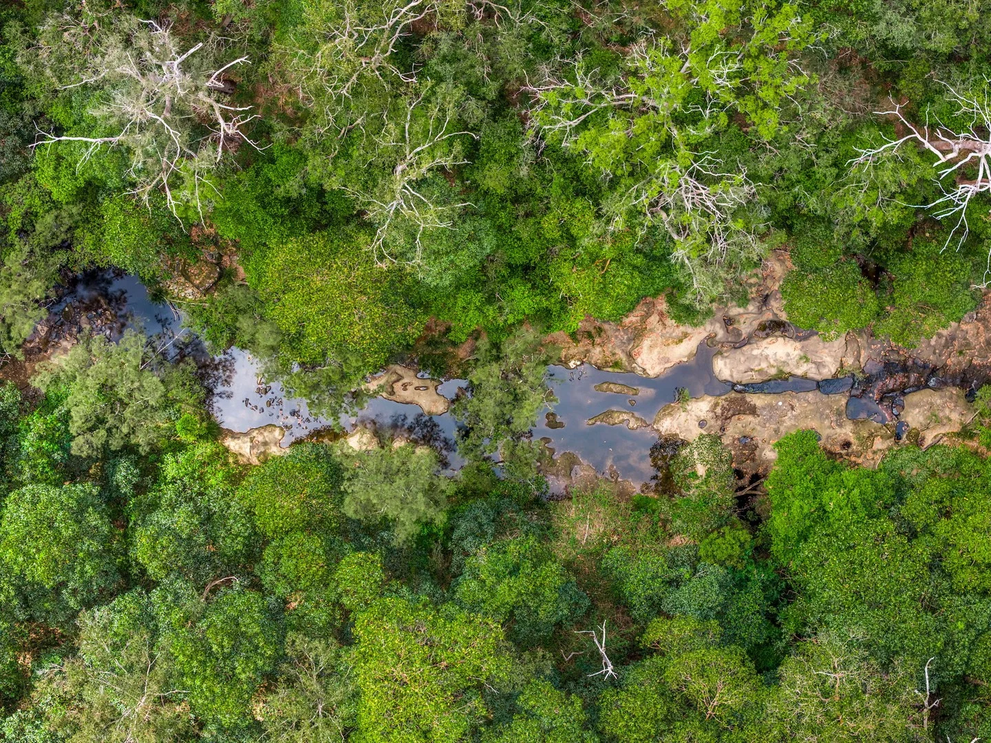 Additional image 4 of 497 Yabbra Road, Yabbra NSW 2469