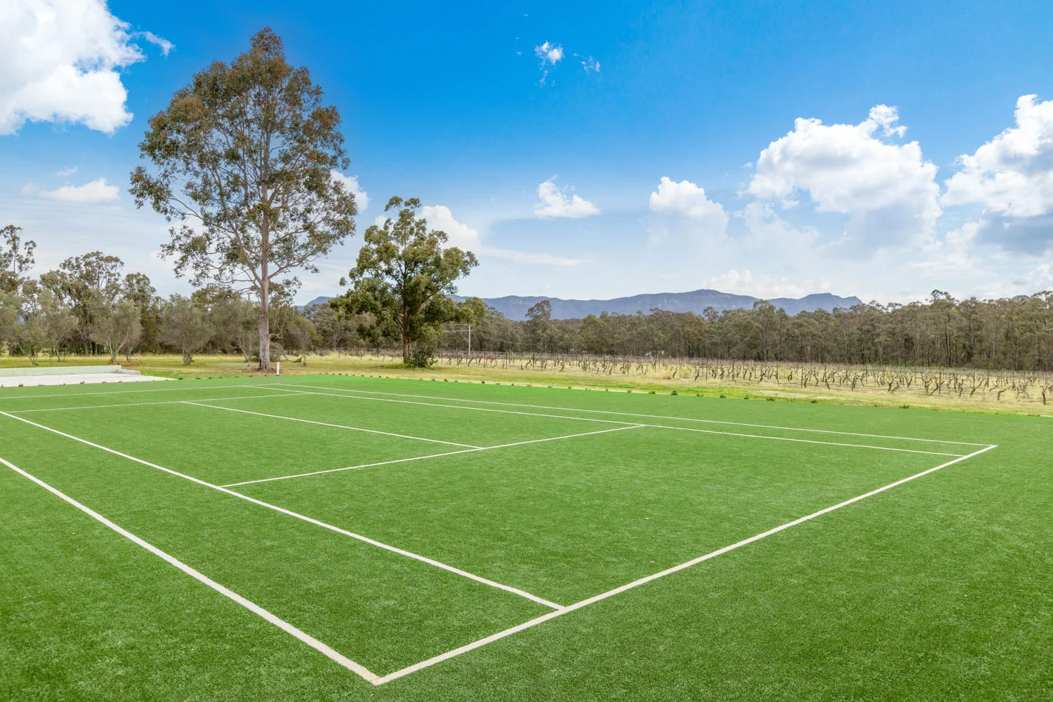 Additional image 5 of 463 Deasys Road, Pokolbin NSW 2320