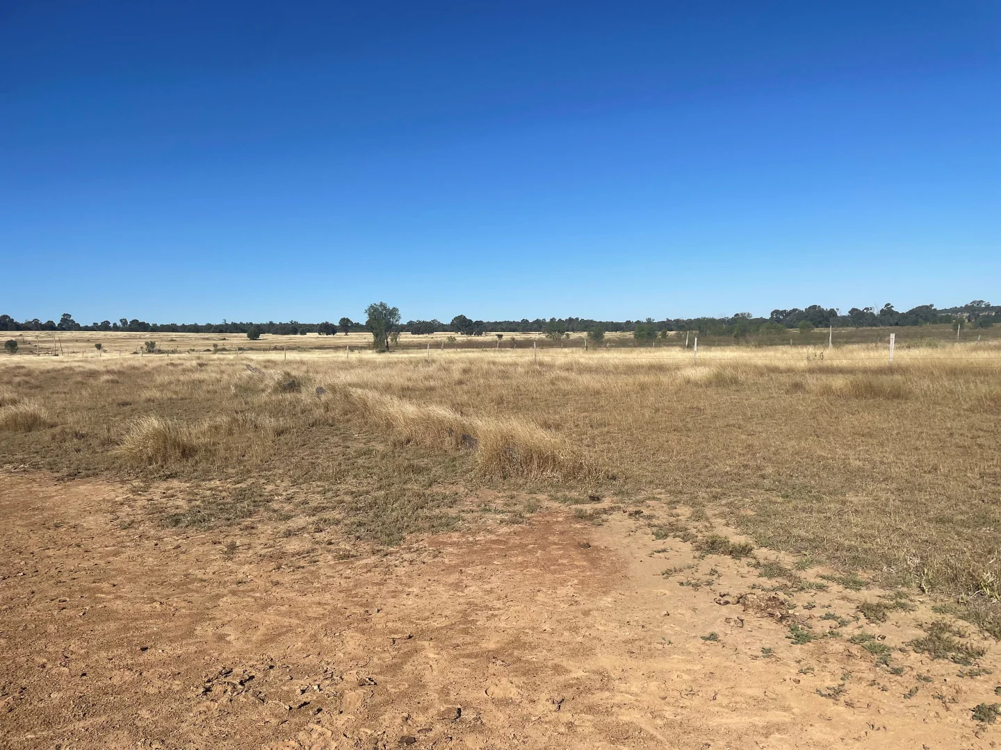 Additional image 20 of 780 Olinda Rd, Kokotungo QLD 4702