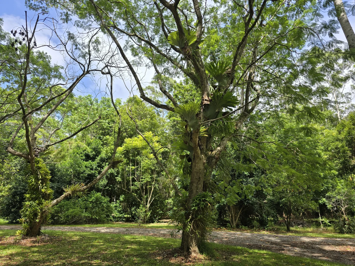 Additional image 30 of 145-159 Archville Station Rd, Bonville NSW 2450