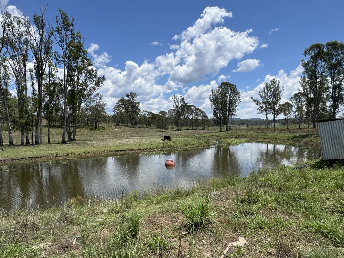 Additional image 21 of 32169 Burnett Highway, Monto QLD 4630