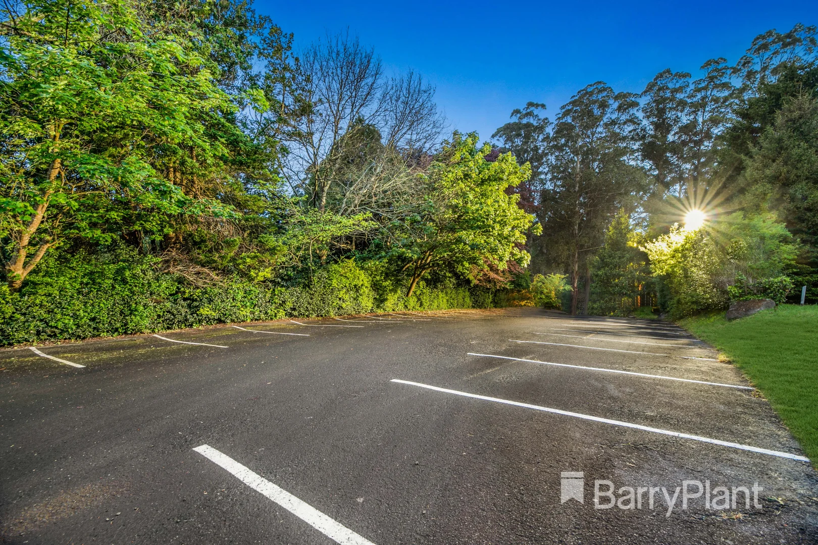 Additional image 18 of 327 Mt Dandenong Tourist Road, Sassafras VIC 3787
