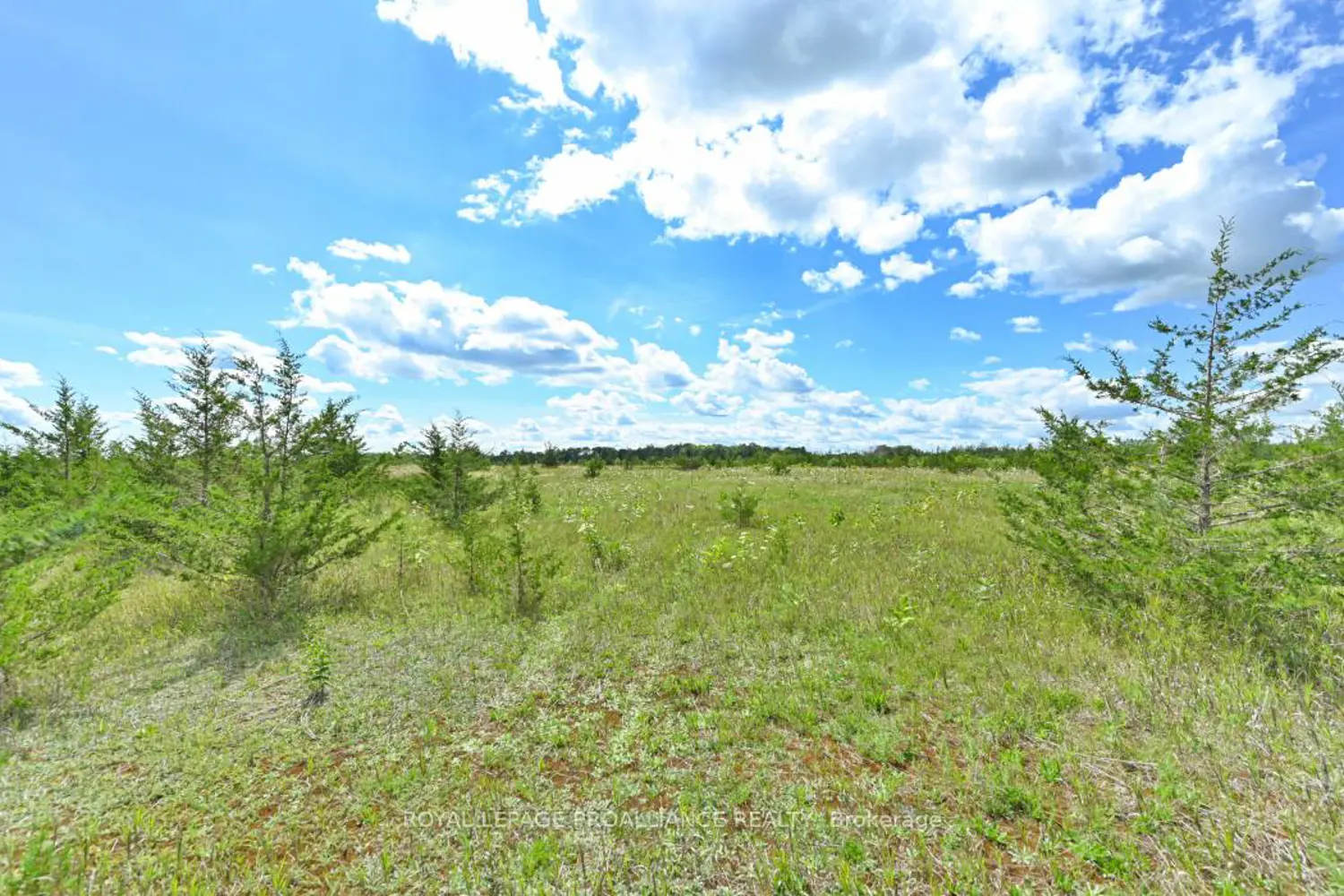 Additional image 3 of 1575 Marysville Road