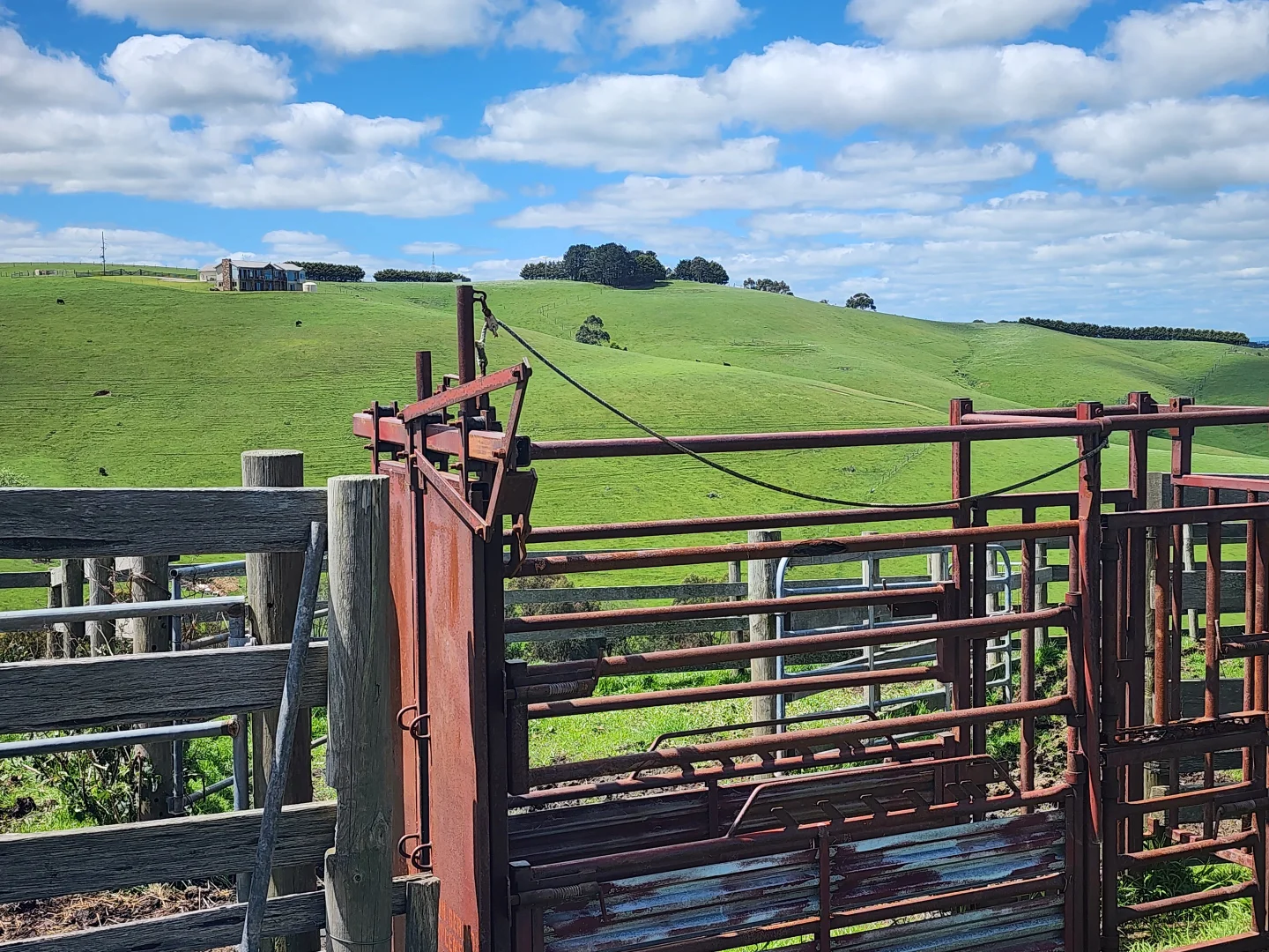 Additional image 33 of 470 Densley Road, Woolamai VIC 3995